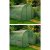 Парник теплиця Garden Line 3x2x2 м Зелений TUN5552 фото - 9