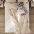IKEA ANNELAND (ИКЕА АННЕЛАНД) 20481710 фото - 2