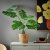 IKEA FEJKA (ИКЕА ФАЛЬШИВЫЙ) 10615244 фото - 3