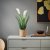 IKEA FEJKA (ИКЕА ФАЛЬШИВЫЙ) 80626395 фото - 4