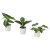 IKEA FEJKA (ИКЕА ФАЛЬШИВЫЙ) 40630064