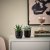 IKEA SUCCULENT (ИКЕА СУККУЛЕНТНЫЙ) 80564444 фото - 3