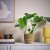 IKEA SANDODLA (ИКЕА САНДОДЛ) 30630168 фото - 5