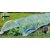 Мини парник теплица Garden Line 400х50х50 см Прозрачный EVA5721 фото - 6