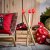 IKEA STRALA (ИКЕА СТРАЛА) 40645602 фото - 2
