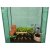 Парник теплиця Garden Line 100x50x150 см Зелений TUN0396 фото - 6