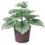 IKEA SMATARNA (ИКЕА СМАТРАННА) 90630740