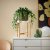 IKEA HONUNGSPALM (ИКЕА ХОНУНГСПАЛЬМ) 40641345 фото - 2