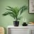IKEA BROKTRAST (ИКЕА БРОКТРАСТ) 10636411 фото - 2