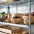 IKEA Миска BLANDA MATT 28 см Бамбук (ИКЕА БЛАНДА МЭТТ) 60214343 фото - 8