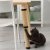 IKEA LURVIG (ИКЕА ЛУРВИГ) 30377794 фото - 2