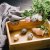 Стопер для кришки каструлі Homla EASY COOK | Сірий 164865 фото - 7