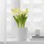 IKEA HYACINTHUS (ИКЕА ГИАЦИНТ) 40535019 фото - 8