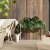 IKEA BLAKRAKA (ИКЕА БЛАКРАКА) 30626779 фото - 4