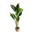 Искусственное растение Homla DIFENBACHIA 110 см Зеленый 237258