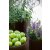 Набір кашпо для квітів Keter Cylinder Planters S/M/L | Коричневий 220455 фото - 5