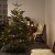 IKEA ABIES NORDMANNIANA (ИКЕА АБИС НОРДМАННИАН) 80228363 фото - 4