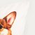 Декоративная наволочка Homla CORGI 45х45 см Принт - 3 Декоративная наволочка Homla CORGI 45х45 см Принт 242296 фото - 3