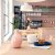 IKEA BLODBJORK (ИКЕА БЛОДБИРК) 30607295 фото - 4