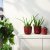 IKEA SESAMFRON (ИКЕА СЕЗАМФРОН) 20569345 фото - 4