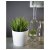 IKEA FEJKA (ИКЕА ФЕЙКА) 00433942 фото - 6