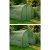 Парник теплица Garden Line 4x2,5x2 м Белый TUN5590 фото - 9
