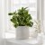 CHIAFRON - 2 IKEA CHIAFRON (ИКЕА ШИАФРОН) 60475793 фото - 2