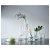 IKEA Набір ваз CYLINDER (ИКЕА ЦИЛИНДР) 80175091 фото - 2