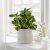 CHIAFRON - 10 IKEA CHIAFRON (ИКЕА ШИАФРОН) 60475793 фото - 10