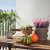 CUCURBITA - 2 IKEA CUCURBITA (ИКЕА Тыква) 40604135 фото - 2