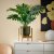 IKEA DAKSJUS (ИКЕА ДАКСИУС) 70624354 фото - 3