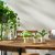 IKEA FEJKA (ИКЕА ФАЛЬШИВЫЙ) 40630064 фото - 2