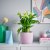 IKEA GRADVIS (ИКЕА ГРАДВИС) 20569331 фото - 4
