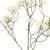Штучна гілка Homla CLADEL 24 см | Екрю - 3 Штучна гілка Homla CLADEL 24 см | Екрю 200200 фото - 3