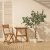 IKEA FEJKA (ИКЕА ФЕЙКА) 60582514 фото - 4