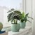 IKEA SAMMETSSYREN (ИКЕА САММЕТСИРЕН) 70642579 фото - 3
