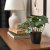 IKEA BROKTRAST (ИКЕА БРОКТРАСТ) 70635395 фото - 2