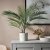 IKEA FEJKA (ИКЕА ФЕЙКА) 30508403 фото - 3