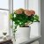 IKEA HYDRANGEA MACROPHYLLA (ИКЕА ГОРтензия Макрофилла) 10553255 фото - 3