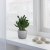 IKEA BOYSENBAR (ИКЕА БОЙСЕНБЕР) 10500511 фото - 2