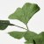 IKEA GULDSPETT (ИКЕА ГУЛДСПЕТТ) 50630327 фото - 4
