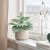 IKEA SMATARNA (ИКЕА СМАТРАННА) 90630740 фото - 3