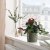IKEA HASSELBUKETT (ИКЕА ХАССЕЛЬБУКЕТТ) 70641358 фото - 4