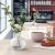 IKEA GRASPARV (ИКЕА ГРАСПАРВ) 20639782 фото - 2