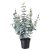 IKEA FEJKA (ИКЕА ФЕЙКА) 40452368