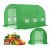 Парник теплиця Corciano 3x2x2 м Зелений 5901721053069