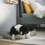 IKEA UTSADD (ИКЕА UTSADD) 60623675 фото - 5
