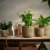 IKEA SANDODLA (ИКЕА САНДОДЛ) 30630168 фото - 3